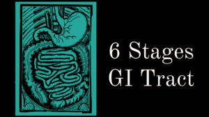 6 Stages of GI Tract Pathologies