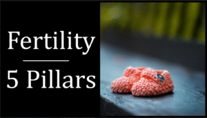 5 Pillars of Fertility
