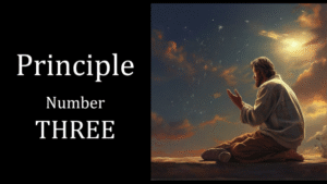 Principle Number THREE