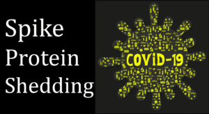 Spike Protein Shedding